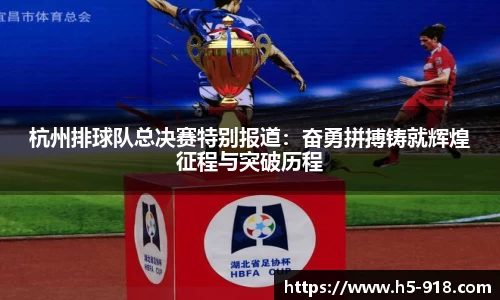 杭州排球队总决赛特别报道:奋勇拼搏铸就辉煌征程与突破历程
